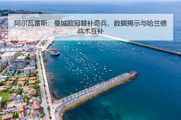 a-er-wa-lei-si-man-cheng-ou-guan-ti-bu-qi-bing-shu-ju-jie-shi-yu-ha-lan-de-zhan-shu-hu-bu-3-602.jpg